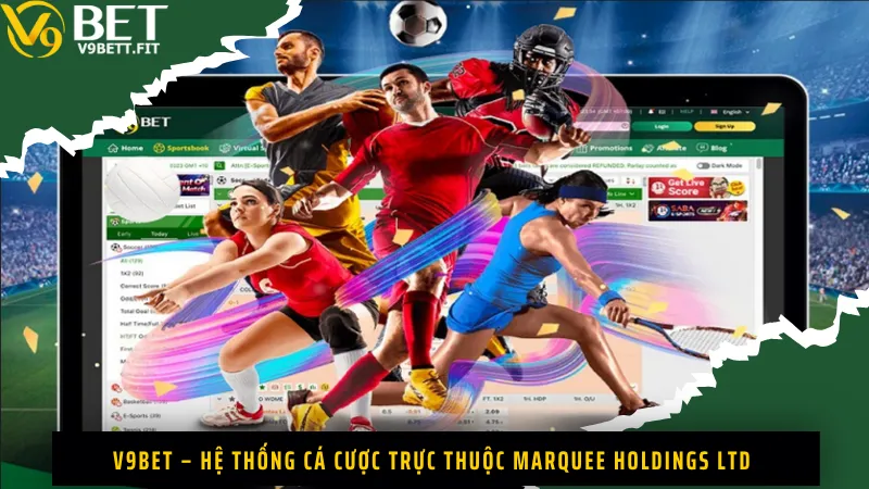 V9Bet – Hệ thống cá cược trực thuộc Marquee Holdings Ltd