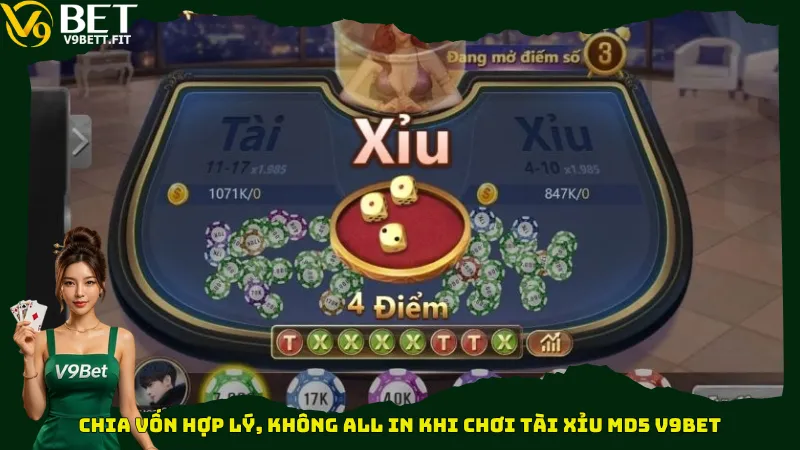 Chia vốn hợp lý, không all in khi chơi Tài xỉu MD5 V9bet